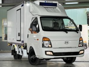 Xe đông lạnh 1 tấn