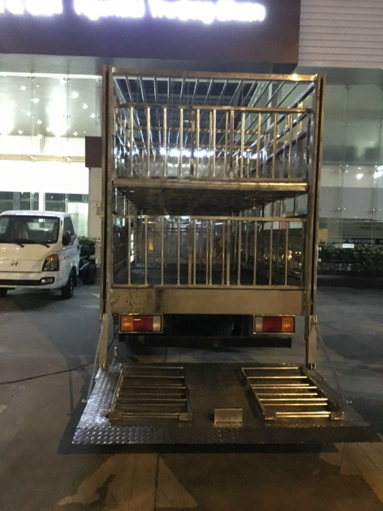 hyundai 3,5 tấn chở gia súc